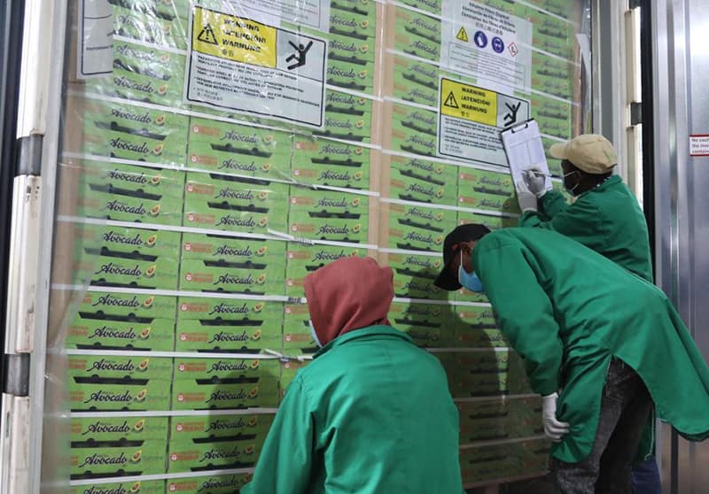 images/1662366730304avocado processing equipment.jpg